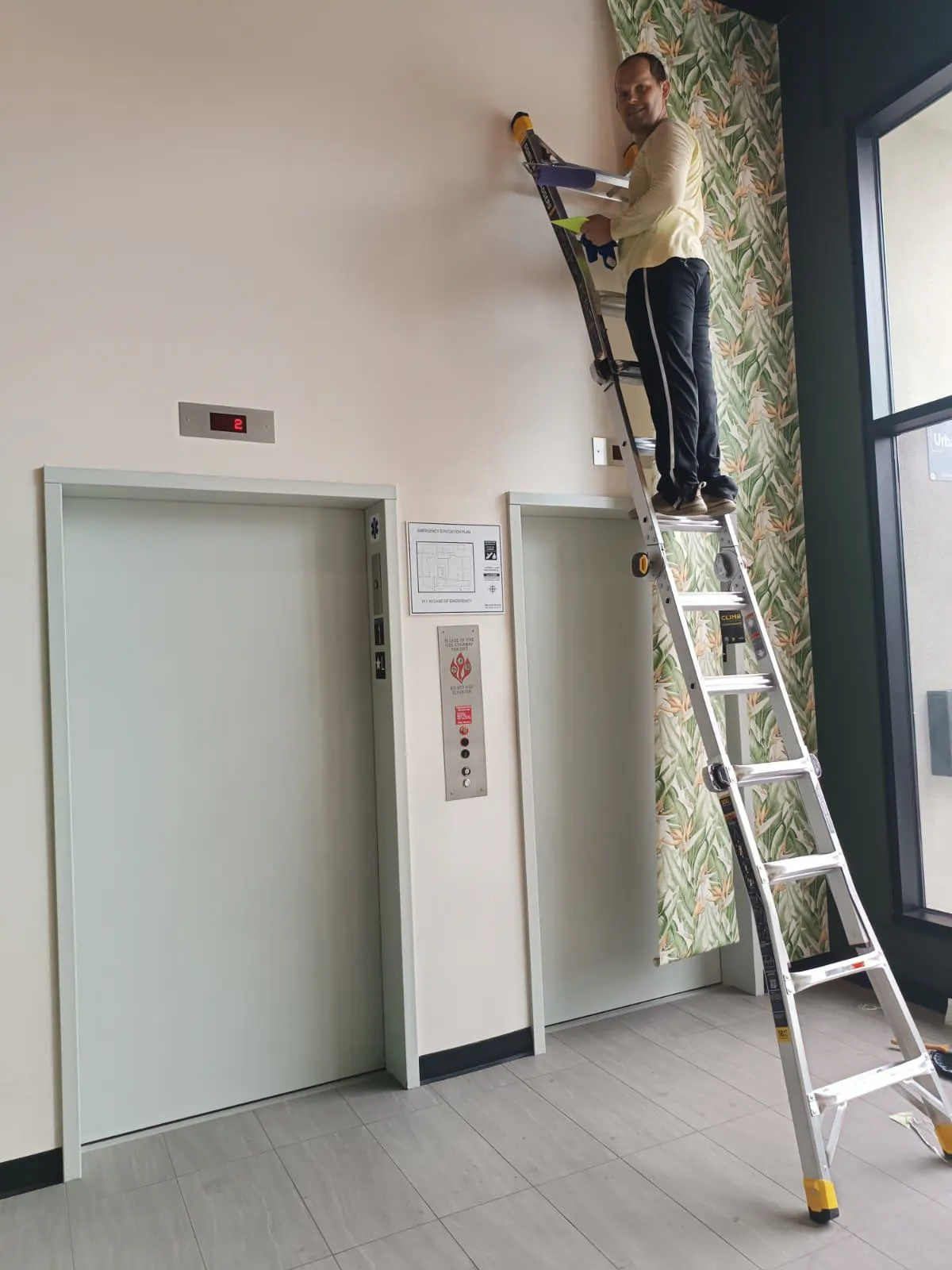 Dexter Mills - Professional wallpaper installer in San Diego